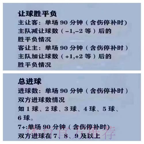 世界杯买球官网入口地址详解 世界杯买球官网入口地址详解